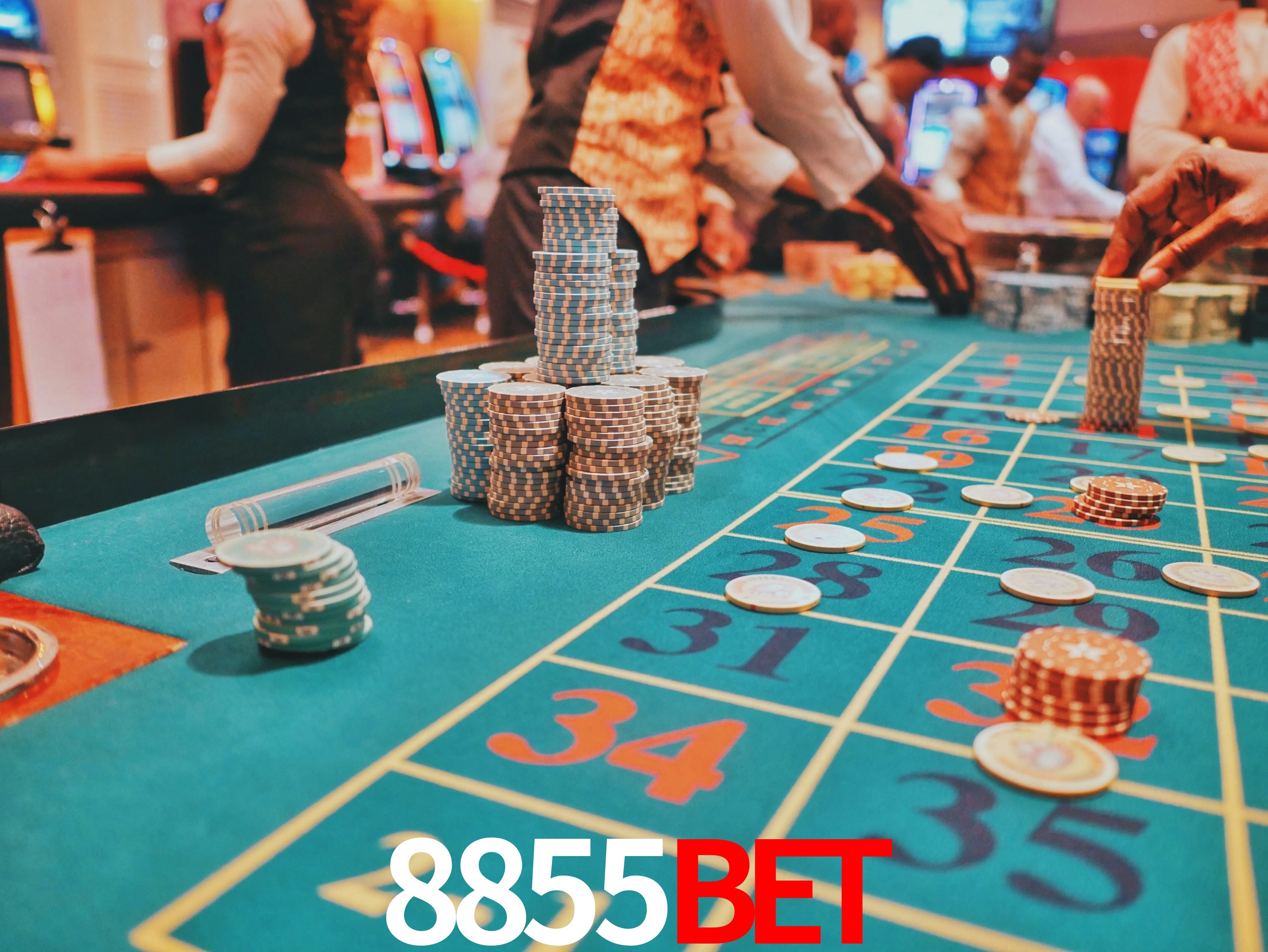 Casino Ao Vivo 8855Bet