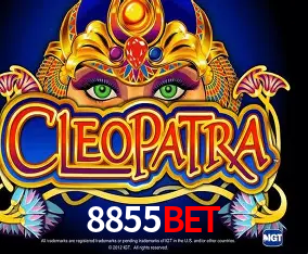 Apostas Esportivas na 8855Bet: Um Guia Completo