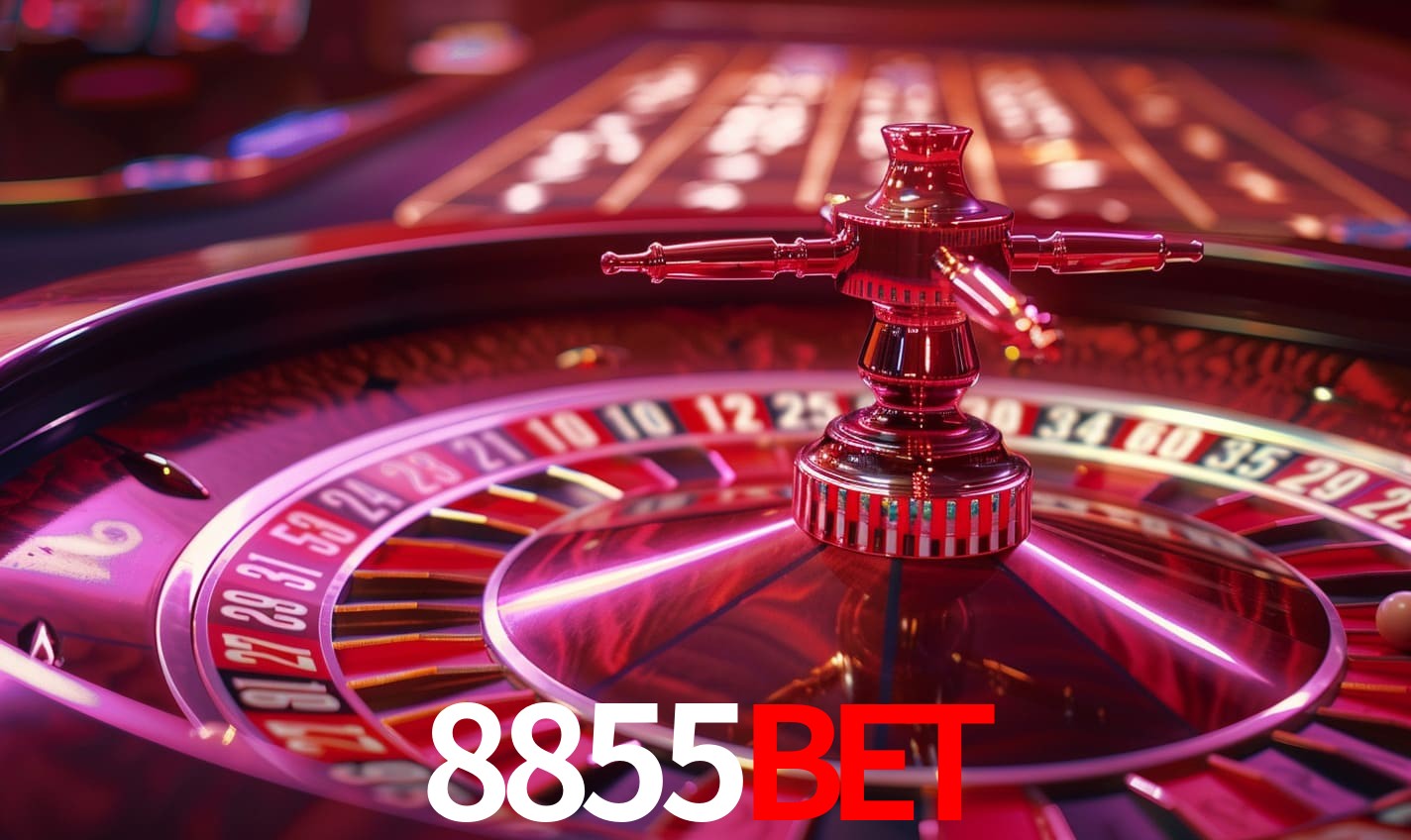 Interface Premium 8855Bet